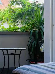 Orelli House - Biassono