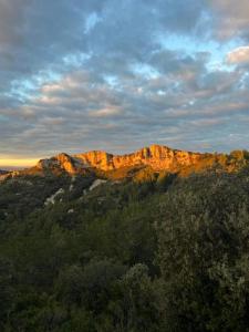 Maisons d'hotes Mas de charme au pied des Alpilles : photos des chambres