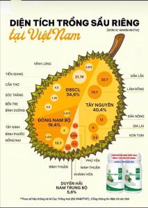 Homestay maison de KaThy
