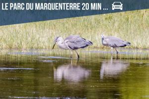 Maisons de vacances Au Ptit Somme : photos des chambres