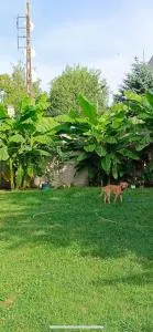 Zárva! Nem foglalható! - Örvényes