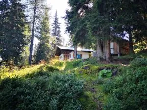 Almhütte auf 1850 Höhenmeter - Gumpenberg