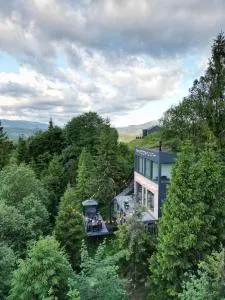 Forest Hub - 普拉韦