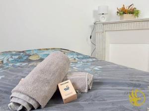 Appartements Cosy Gare & Musee - Saint Quentin : photos des chambres