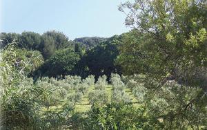 Au jardin de la ferme - gite roses rouges
