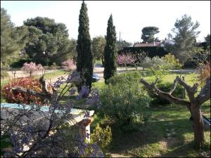 Au jardin de la ferme - gite roses rouges