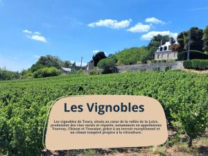 Appartements Jeanne - Chateau d-Amboise : photos des chambres