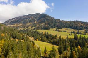 Ferienhaus Bergblick
