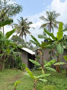 KA Surf Hostel