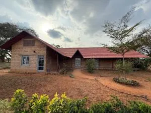 Ficus by Kilukka Farms - Krishnagiri