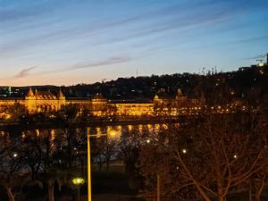 The Pearl with the Danube and Gellert Hill View