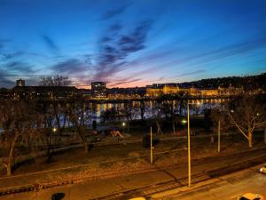 The Pearl with the Danube and Gellert Hill View