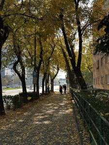 Byt s veľkou terasou a balkónom v centre mesta!