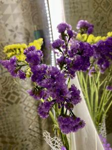 El Somni de Paqui Apartamentos Boutique Only Adults