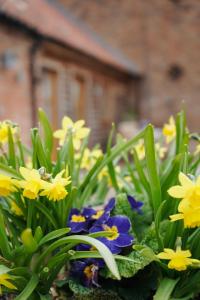 The Hideaway - Ideal Base for Work Trips & Weekend Breaks near Gainsborough