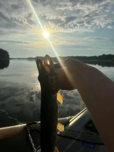 Kubusiowy Zakątek - Mącze