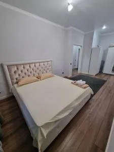 Отличная квартира возле Astana Vision - Kirovo