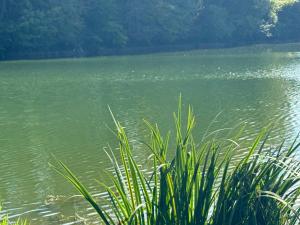 Appartements Lac De Lumiere. Relax with rural lakeside living : photos des chambres