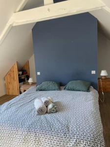Maisons de vacances Maison de Bourg en Pierre au coeur de Plouharnel : photos des chambres