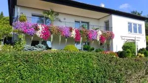 Haus Alexandra - 巴特索伯恩海姆