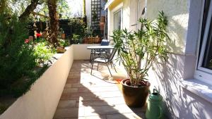 Ferienwohnung Palmengarten Bad Honnef