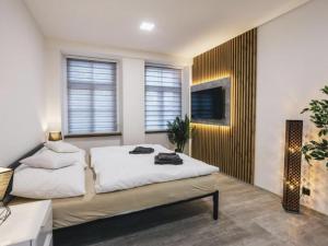 Apartment Jindřichův Hradec A03 by Interhome