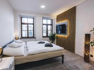 Apartment Jindřichův Hradec A03 by Interhome