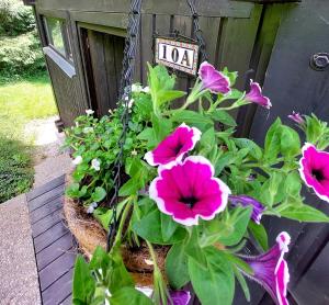 Geographer`s Cottage II