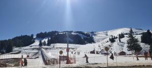 Idéal pour les vacances