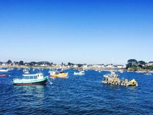 Appartements Apartment Grand Balcon- Piscine et proche du Port by Interhome : photos des chambres