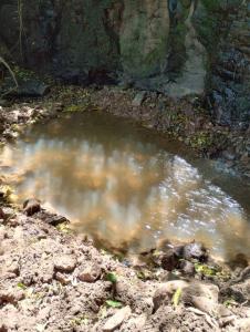 Bangalô dos Araçás - sítio Vô Haack