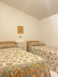B&B Le Palme San Costantino