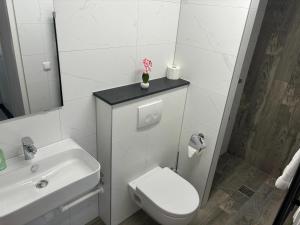 Beautiful apartment near recreational facility