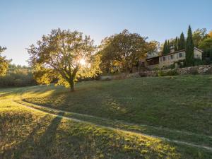Villas Le Grand Paradis : photos des chambres