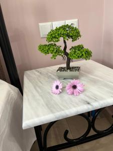 Aktia Apartment, Preveza