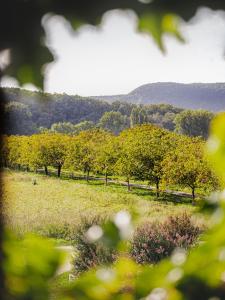 Lodges Chateau la Gineste - Castle and Vineyard : photos des chambres