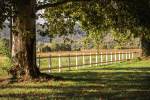 Lodges Chateau la Gineste - Castle and Vineyard : photos des chambres