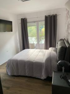 Cassino - Appartamento Grey - Parco del Gari