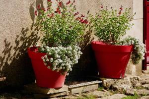 Gîte lépicerie de madeleine