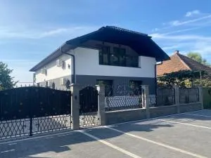 Гостинний двір Beregszasz - 科松