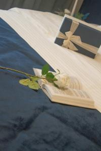 Petrocelli apartment