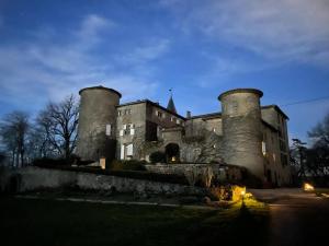 B&B / Chambres d'hotes Chateau de Montcuquet : photos des chambres