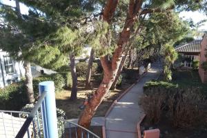 Appartements Lovely T2 near city center : Appartement