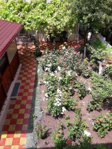 vila irina mamaia nord
