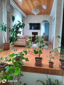 Minimalist Escape - 卡希