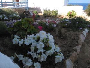 Makares Donousa-Island Greece