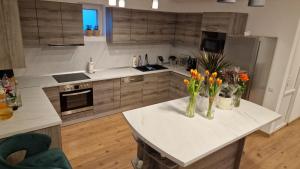 Pensiunea Deak Panzio