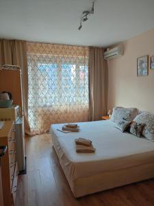 Самостоятелни стаи Виктория