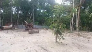 Cabana Alegria - Pojuca