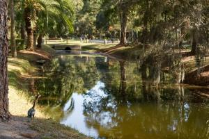 Stoney Creek Villa 268